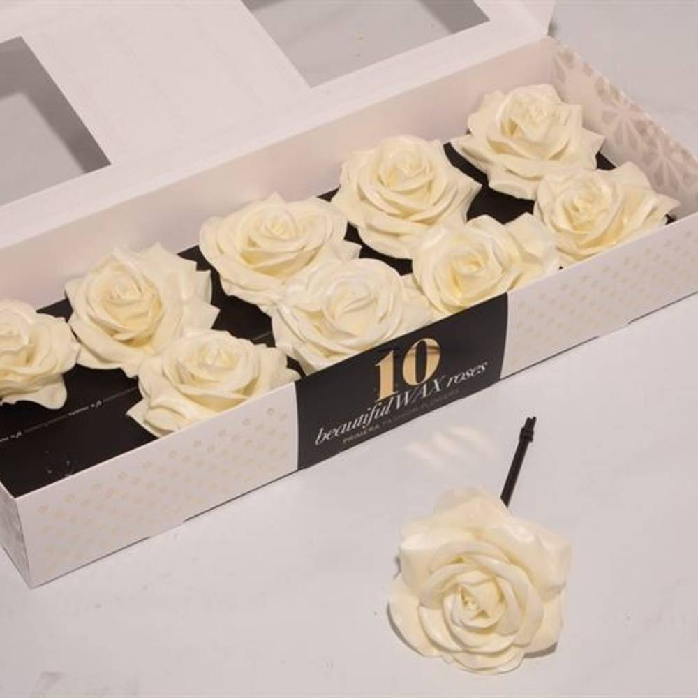 Seiden Wachs Rose creme D12cm (310)