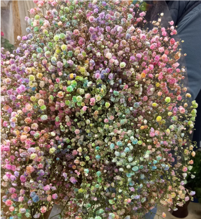 Eisen Gyps mix in bunt kleine Blüte 80 cm