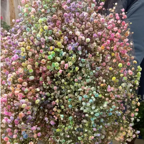 Eisen Gyps mix in bunt kleine Blüte 80 cm