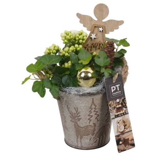 Kal.Arr PTCHG5666 Weihnachten T10 H022