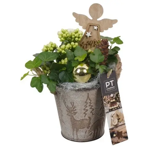 Kal.Arr PTCHG5666 Weihnachten T10 H022