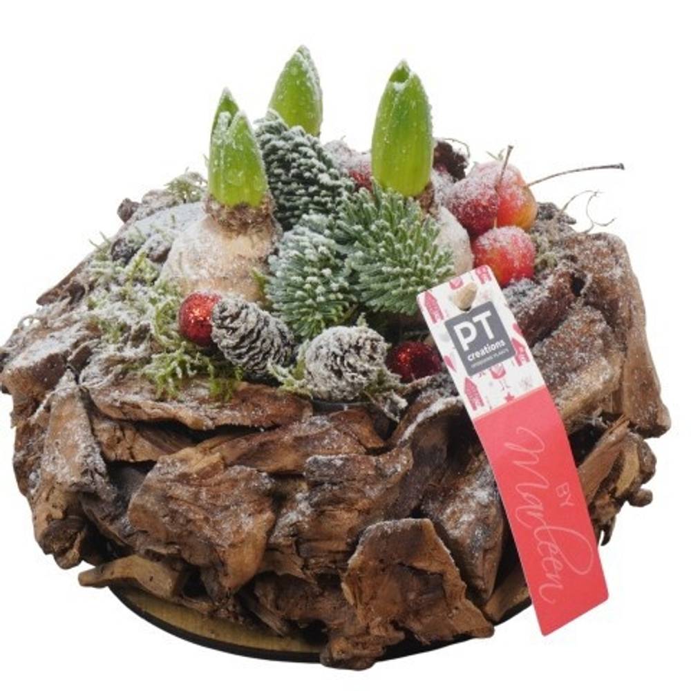 Hyac.Arr PTHCH6738 Weihnachten T21 H019