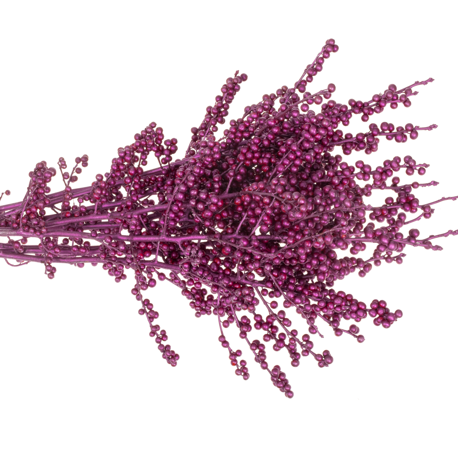 Ilex  cersie erica gefarbt 70cm