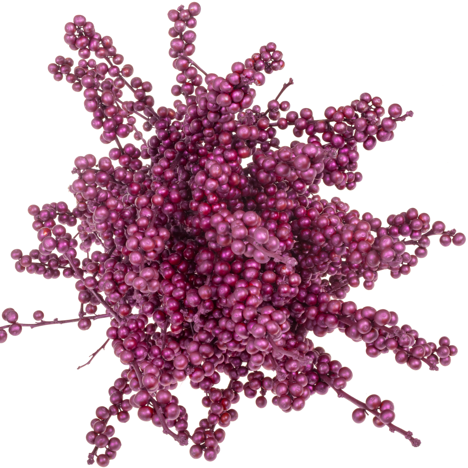 Ilex  cersie erica gefarbt 70cm