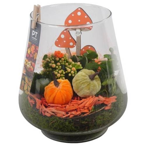 Kal.Arr PTHG3387 Herbst T18 H023