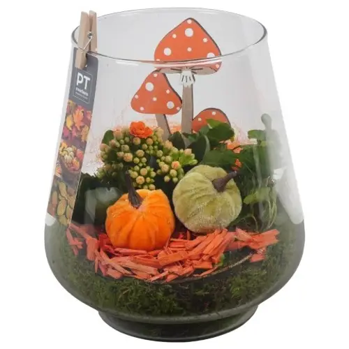 Kal.Arr PTHG3387 Herbst T18 H023