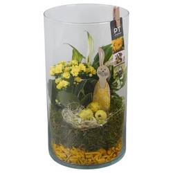 Spath.Arr PTPG9333 Ostern T16 H032