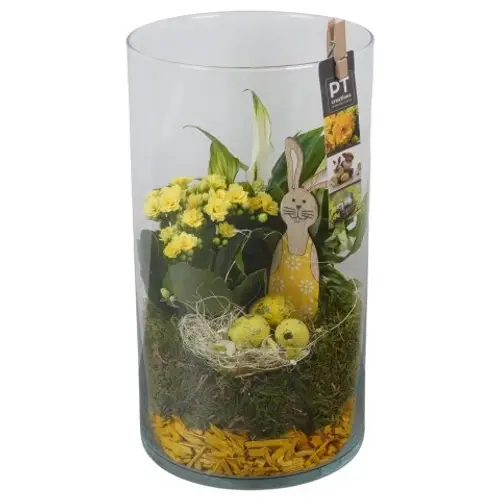 Spath.Arr PTPG9333 Ostern T16 H032