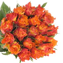 Rose gelb/orange Downtown 30cm