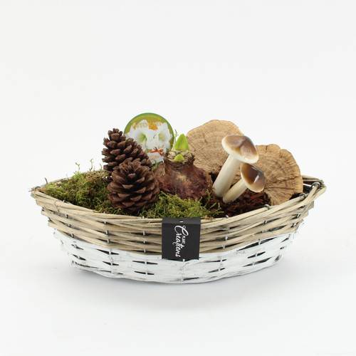 Amaryl.Arr-2520W Herbst weisse Bl. T35 H025