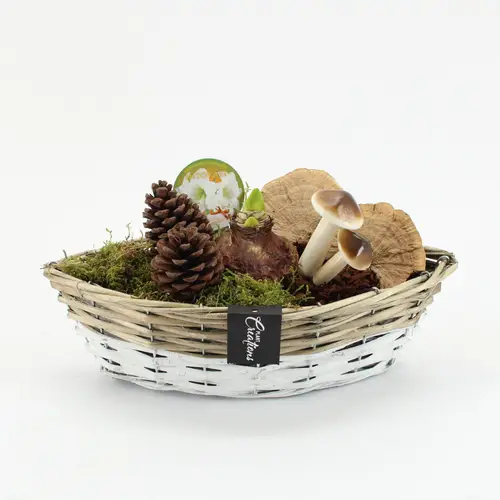 Amaryl.Arr-2520W Herbst weisse Bl. T35 H025