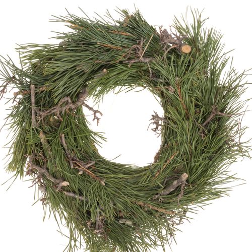 Pinus/Bonsaikranz Halb D35cm