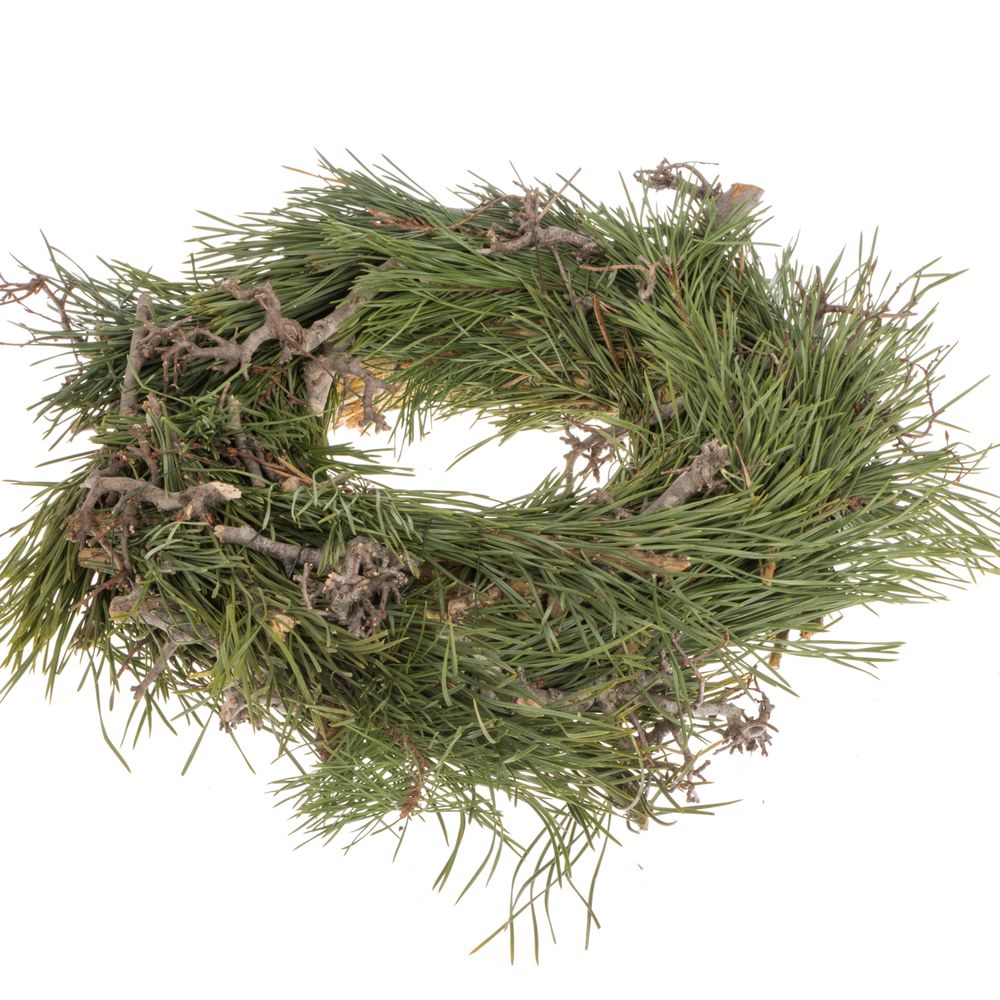Pinus/Bonsaikranz Halb D35cm