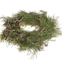 Pinus/Bonsaikranz Halb D35cm