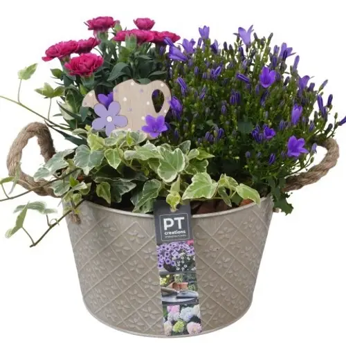 Garten.Arr PTPP6896 T21 H027