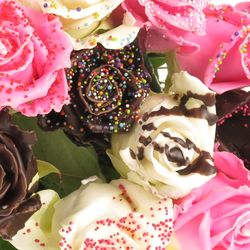 Rose mix Chocodream 70cm duftend