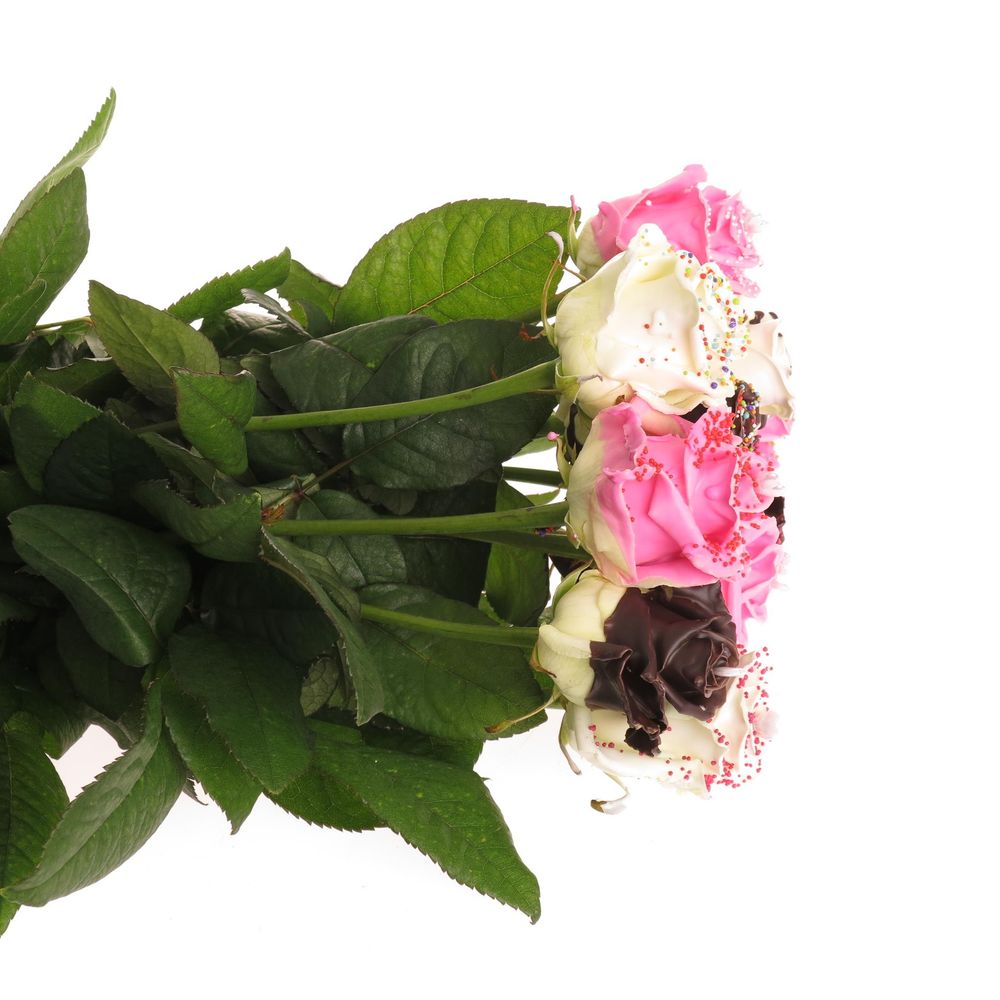 Rose mix Chocodream 70cm duftend