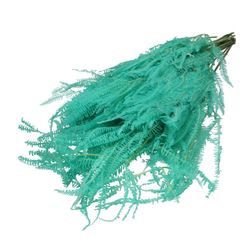 Trocken Helecho türkis L70cm