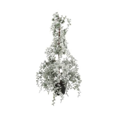 Baum Hängekiefer Schnee D40cm H90cm