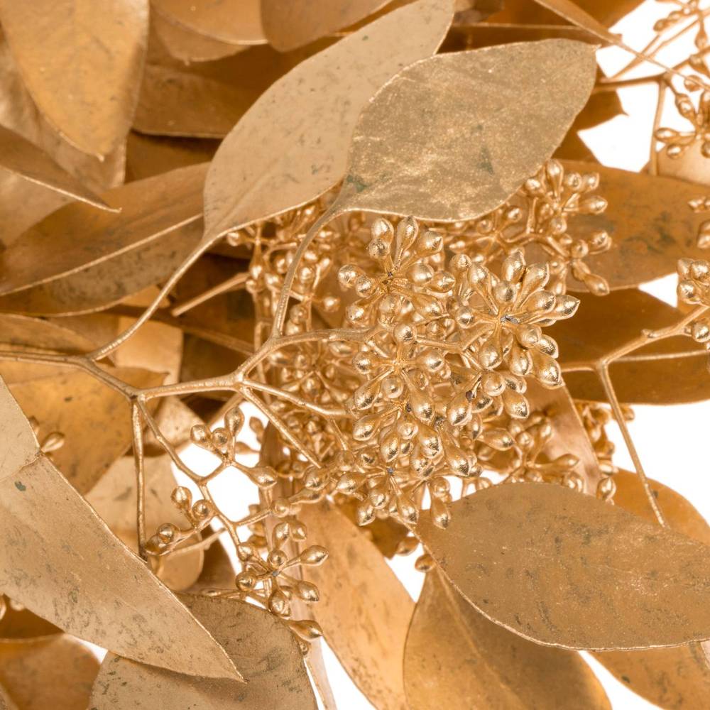 Populus antique gold Frucht gefärbt 300 Gramm 65cm