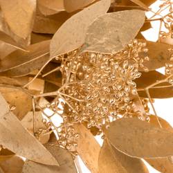 Populus antique gold Frucht gefärbt 300 Gramm 65cm