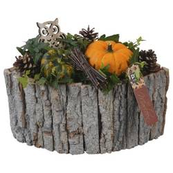 Garten.Arr PTSF8240 Herbst T30 H025