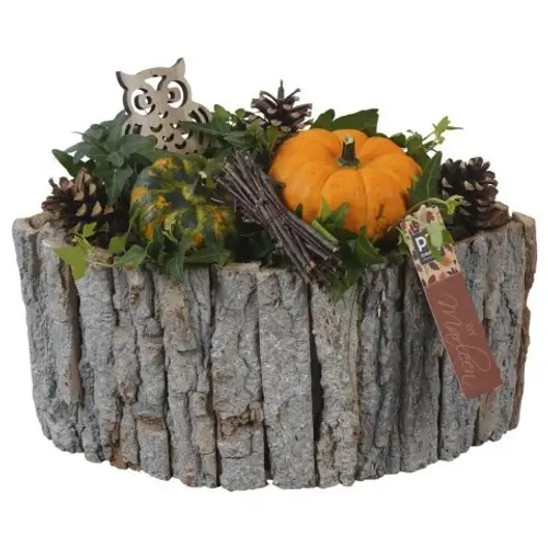 Garten.Arr PTSF8240 Herbst T30 H025