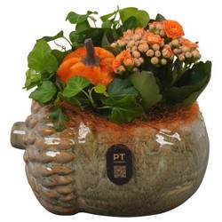 Kal.Arr PTHI3268 Herbst T15 H016