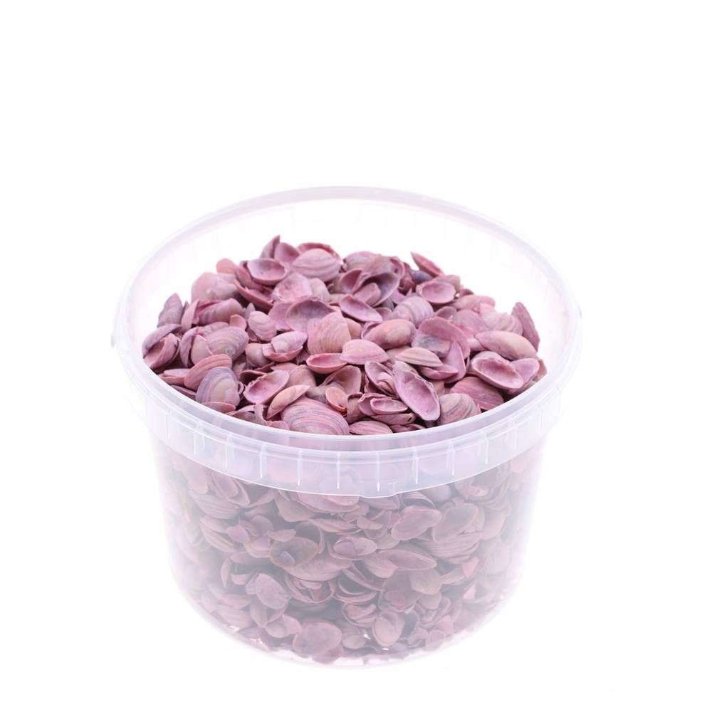 Muscheln Nordsee rosa 3L