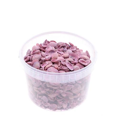 Muscheln Nordsee rosa 3L