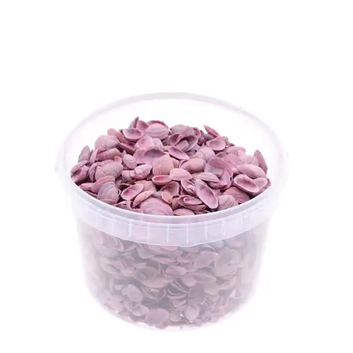 Muscheln Nordsee rosa 3L
