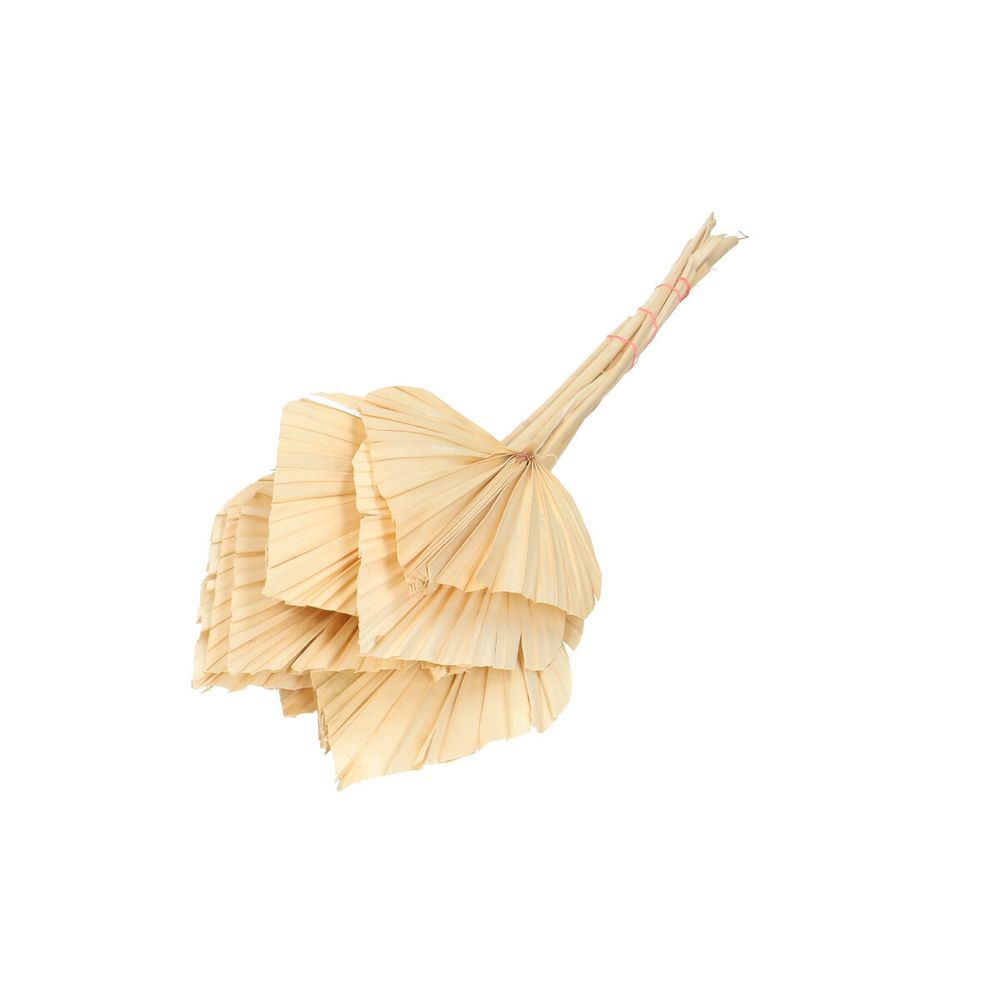 Trocken Palm Spear gebleicht L50cm x10
