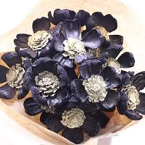 Trocken Zapfenblumen auf Stab schwarz/gold L55cm x15