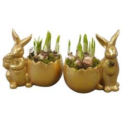 Narzis.Arr mix PTNP4508 Ostern T18 H021