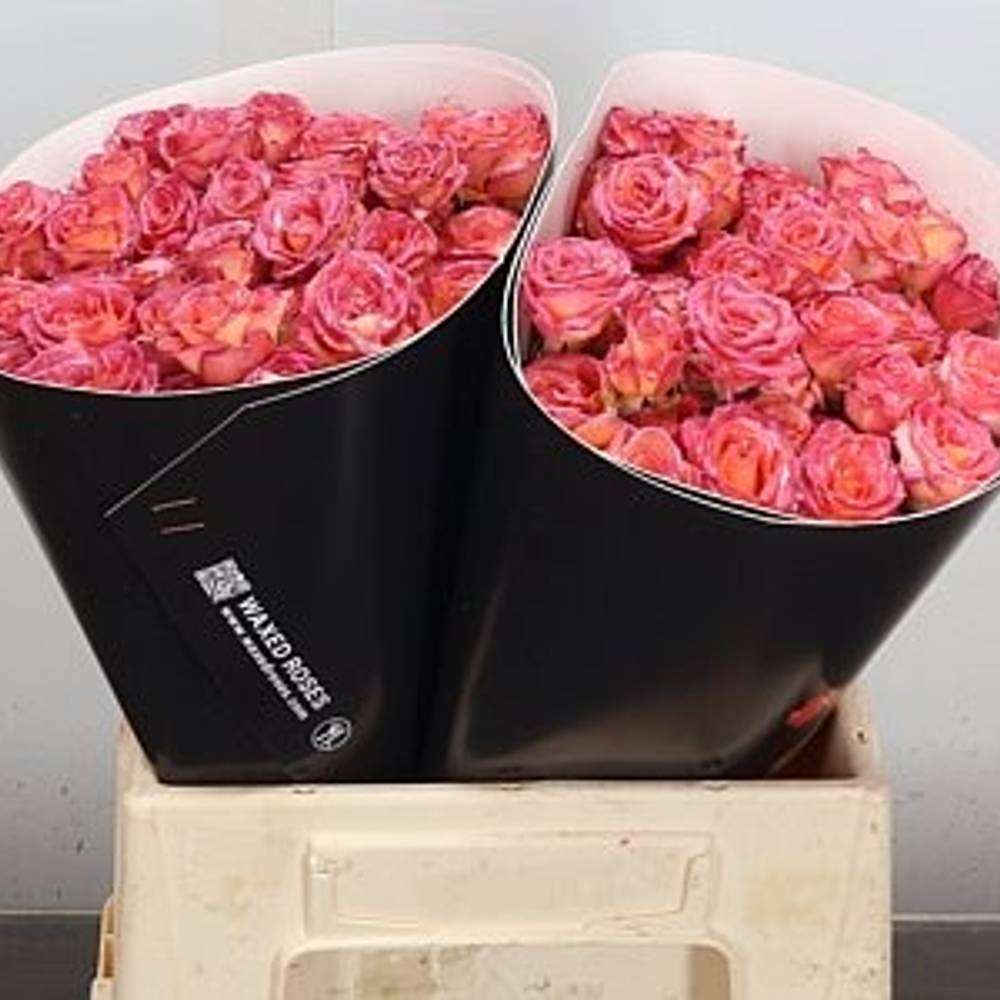 Rose verzweigt gelb/orange Wachs Flaming Yellow 40cm