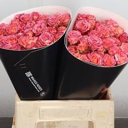 Rose verzweigt gelb/orange Wachs Flaming Yellow 40cm