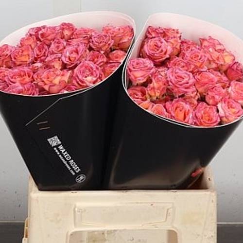 Rose verzweigt gelb/orange Wachs Flaming Yellow 40cm