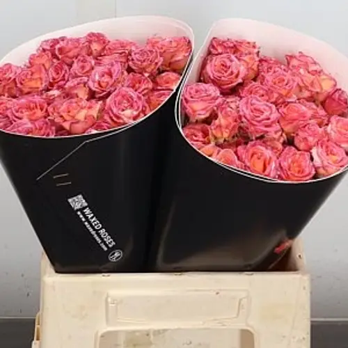 Rose verzweigt gelb/orange Wachs Flaming Yellow 40cm