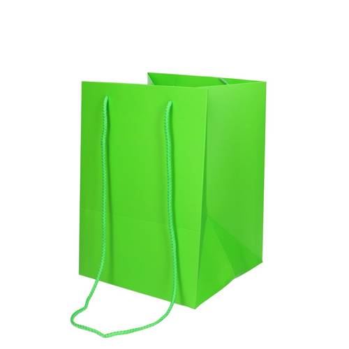 Tasche Olympic apfelgrün 25x18x18cm
