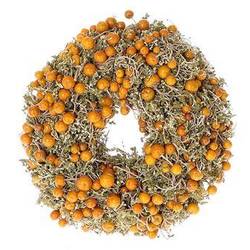 Kranz gelb/grau Solanum D25cm