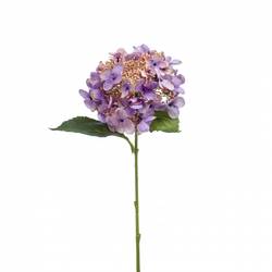 Seiden Hydrangea lila L50cm 