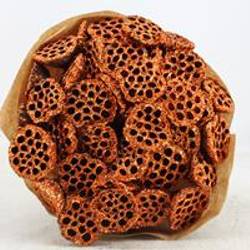 Trocken Lotus auf Stab kupfer L55cm x40