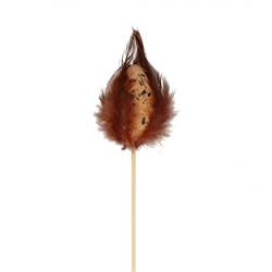 Kiebitzei +Federn braun L50cm