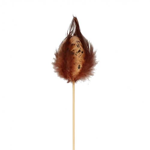 Kiebitzei +Federn braun L50cm