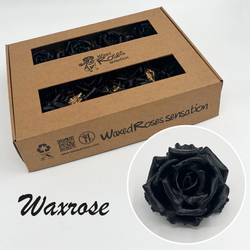 Seiden Wachs Rose schwarz