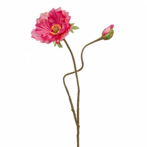 Seiden Papaver rosa L74cm