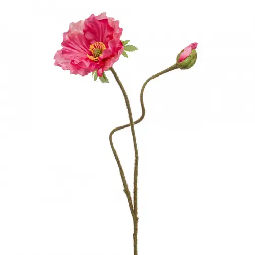 Seiden Papaver rosa L74cm