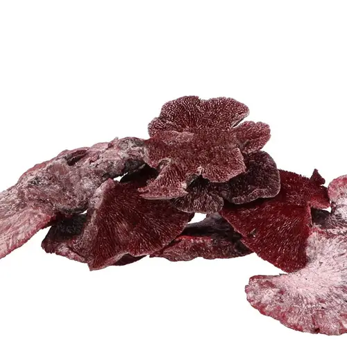 Naturschwamm rot 250gr