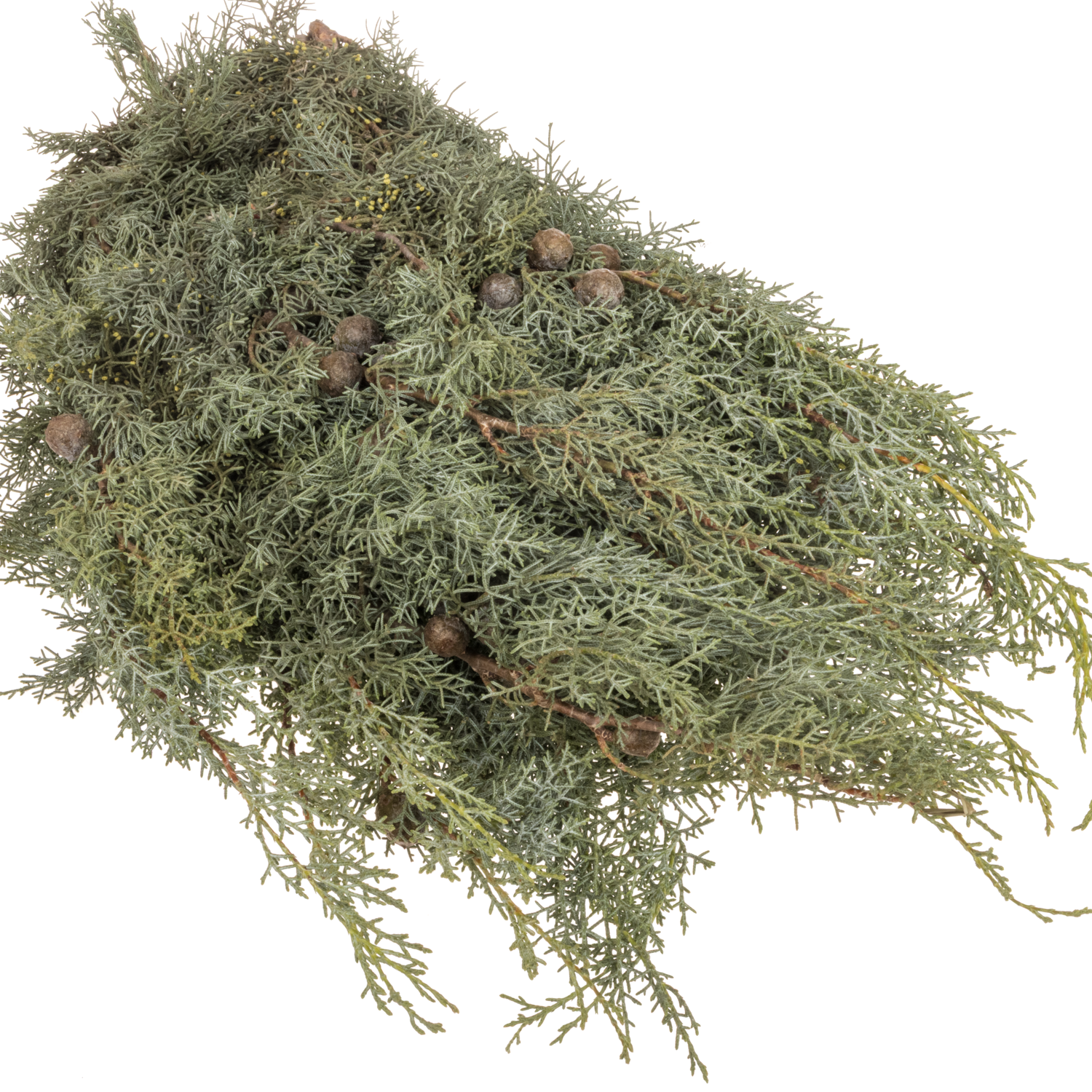 Cupressus grau/grün Arizonica Handbunde 500 gramm