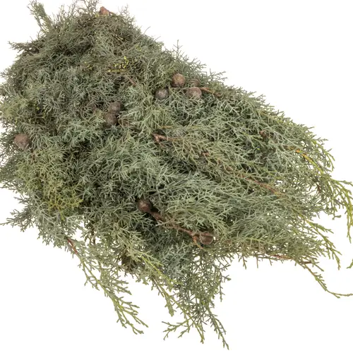 Cupressus grau/grün Arizonica Handbunde 500 gramm